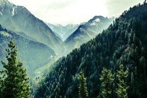 Unexplored Jibhi Tirthan Kasol Valley Tour Package